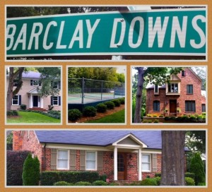 Barclay Downs Neighborhood | Charlotte MLS Area 5