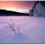 selling a Charlotte home in winter five tips