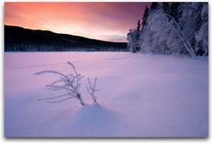 selling a Charlotte home in winter five tips