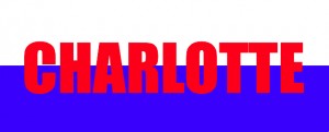 charlotte glass half full bright future