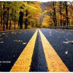 middle of the road Providence Country Club home values