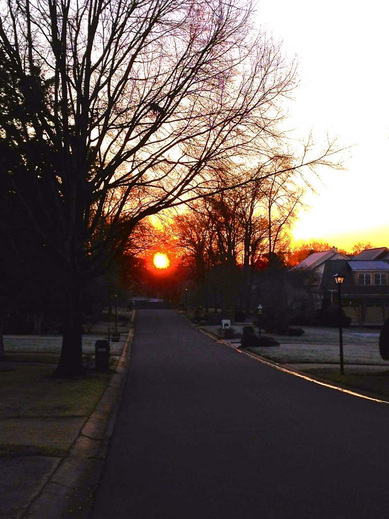 Morning in Montibello